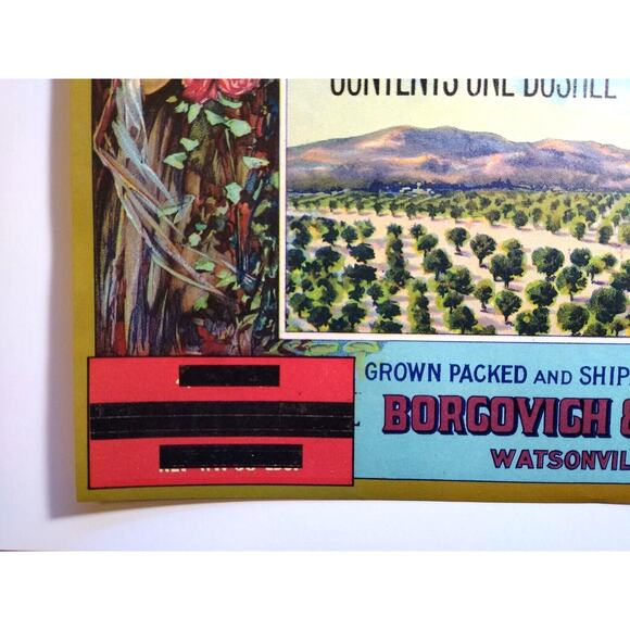 Appleton Apples Fruit Crate Label Art Nouveau Women Rose Original Vintage 1920's - Picture 3 of 5